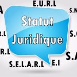 elements juridique business plan