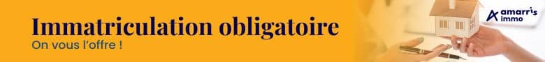 immatriculation LMNP gratuite
